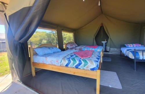 Maasai Mara Bed & Breakfast | Semadep bush camp