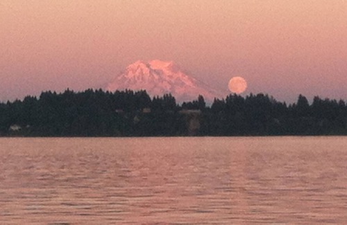 Olympia House | Serene Puget Sound waterfront home with beach access and Mt Rainer view.