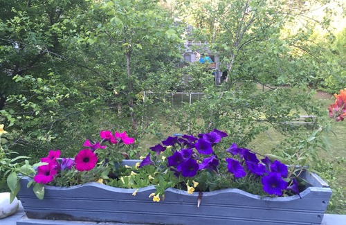 Oak Bluffs House | Serene Sengekontacket Pond Getaway