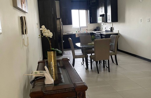 Barbican Apartment | Serenity by Bob Marley Museum/pent house & outdoor hot tub/24 hr security!