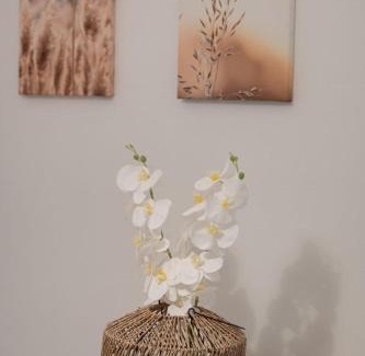 Lygia Apartment | SERENITY LIGIA LEFKAS a