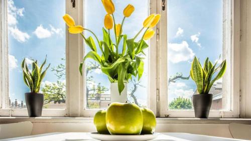 Kleparz Apartment | Sereno Apartments