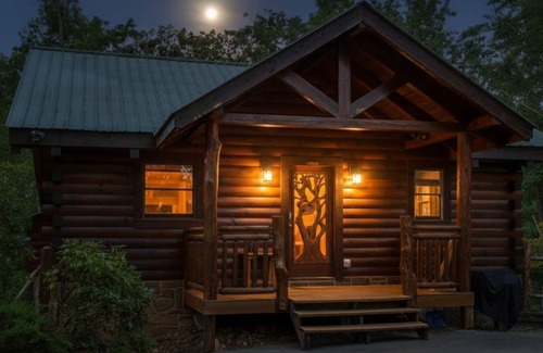 Sevierville Ski Chalet | ‼️Sevierville Cabin | Mtn Views, BBQ & Hot Tub