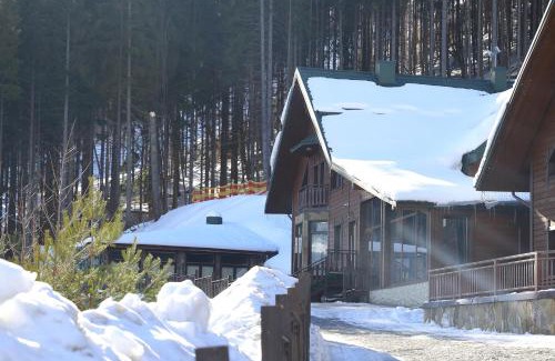 Bukovel Hotel | Shale Anemona