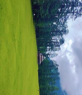 Kullu House | Shangarh JC Snow Valley