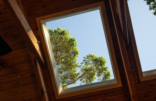 Huskisson Cabin | Shell House - Huskisson