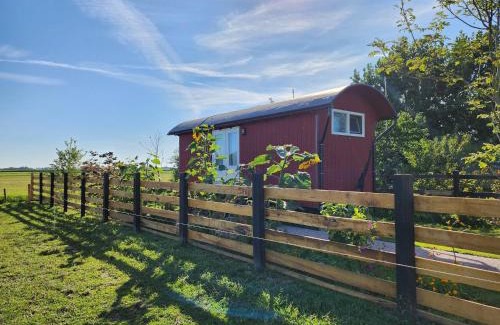 Sint Maartensbrug Apartment | Shepherd's hut 'De Skoeboet'