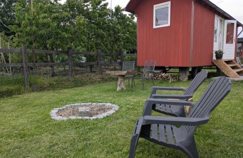 Sint Maartensbrug Apartment | Shepherd's hut 'De Skoeboet'