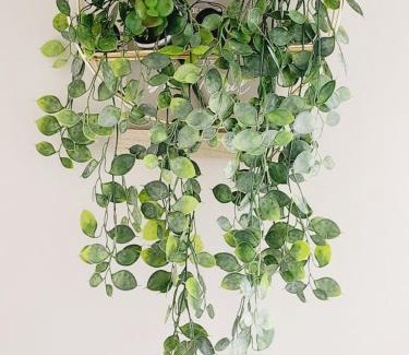 Pretoria Apartment | Shepherd Tree