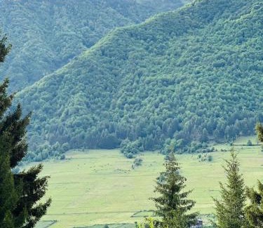 Bagvdanari Hotel | Shgedi Mestia