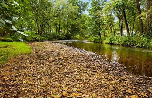 Hayesville Cabin | Shooting Creek Cottage Walk n' Creek Fronatge! Close to Lake Chatuge! Fish WiFi