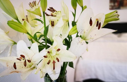 Strassen Apartment | SHS Suite Home Sweet Strassen