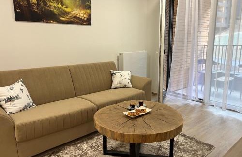 Dolni Morava Apartment | SIA Apartment