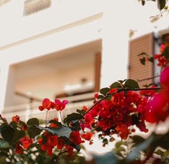 Parga Apartment | Sifakis House