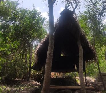 Dambulla Cabin | Sigiriya Eco Lodge & Accommodation - Sigiriya CES Field Base