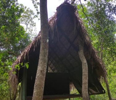 Dambulla Cabin | Sigiriya Eco Lodge & Accommodation - Sigiriya CES Field Base