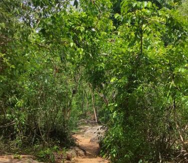 Dambulla Cabin | Sigiriya Eco Lodge & Accommodation - Sigiriya CES Field Base