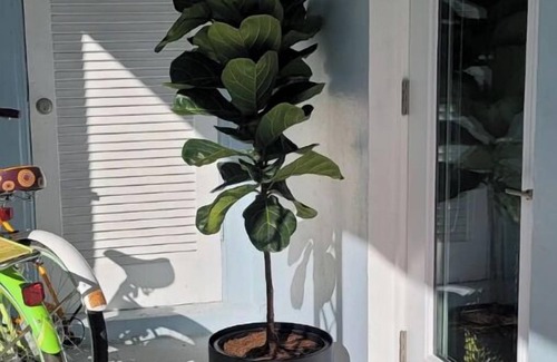 Palm Beach Shores House | Singer Island 2 bedroom w/free parking- no stairs (North unit)