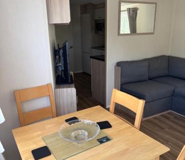Clacton-on-Sea Cabin | Singh&Leite Family caravan for 10 people with 2toilets and lovely Decking