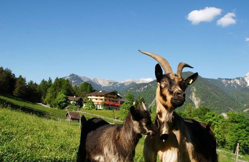 Mittenwald Apartment | Single room north with shower /toilet - Gröbl-Alm, Alpine inn /hotel