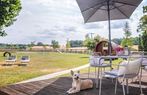 Blaufelden House | Single-storey vacation home - on the outskirts, 1000m² fenced garden, agility course