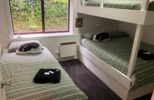 Thredbo Apartment | Ski, Mtn Bike or Hike from the heart of Thredbo