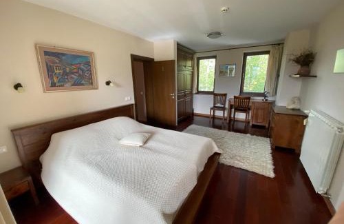 Razlog Villa | Ski & Spa Chalet Bansko