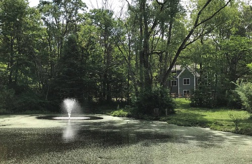 Saugatuck House | Sleeps 34! new home on 17 acres with pond, pool, volleyball court, trails