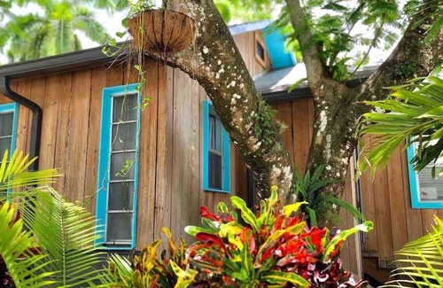 Fort Myers Apartment | Slice of Paradise: Tropical Studio in Downtown Historical River District
