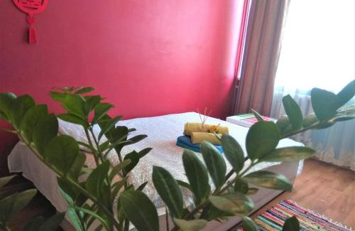 Business District Apartment | Slucko Central Studio Apartment near River