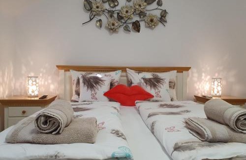 Sibiu Apartment | Smiley Flowers