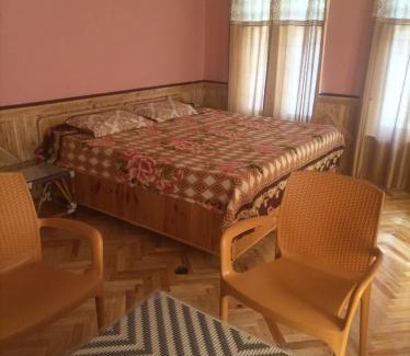 Keylong Apartment | Snow Peaks View Home Stay