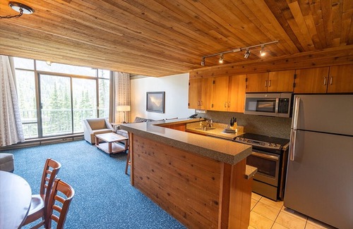 Salt Lake Mountain Resorts Resort | SnowBird Slopeside 10th Floor 2 Story Loft @ the Iron Blosam;nSki In - Relax Out