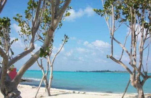 Nassau Apartment | Sonn Tropic Studio [near BahaMar & Saunders Beach]