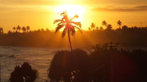 Midigama East Hotel | South Sea Villa