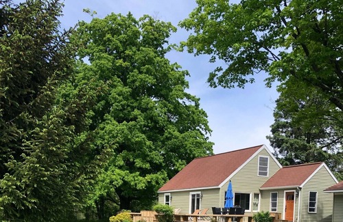 Benzonia House | South St Bungalow~ Great outdoor space with large private deck and yard!