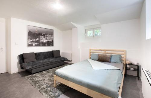 Mulhouse Apartment | Spacieux Studio, Maison de Maître, Parking Gratuit sur Place, MULHOUSE CENTRE
