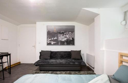 Mulhouse Apartment | Spacieux Studio, Maison de Maître, Parking Gratuit sur Place, MULHOUSE CENTRE