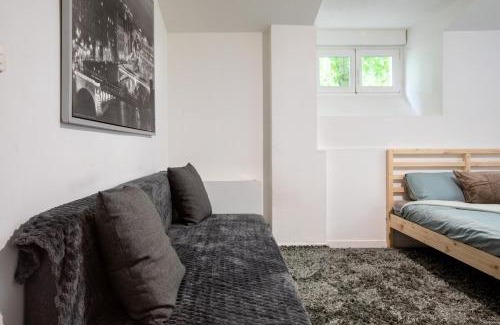 Mulhouse Apartment | Spacieux Studio, Maison de Maître, Parking Gratuit sur Place, MULHOUSE CENTRE