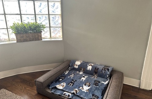 Benton Park Apartment | Spacious and pet friendly apartment in historical and central location