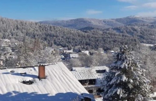 Rabenstein Apartment | Spacious apartment with ski lift behind the house
