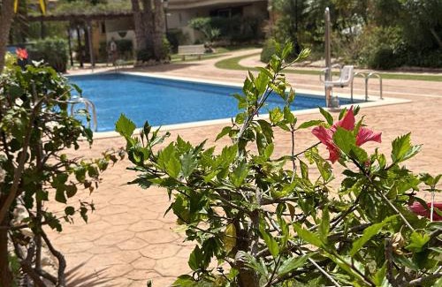 Punta Prima Apartment | Spacious ground floor apartment