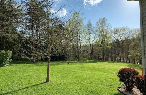 Forest Apartment | Spacious guest apartment to enjoy. Only 12 Minutes from Liberty University.
