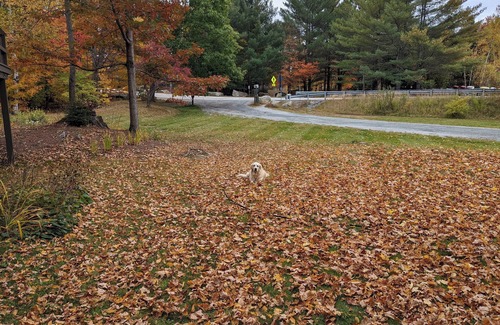 Grantham House | Spacious lake-side townhome near Sunapee near indoor pool, gym, x-country skiing