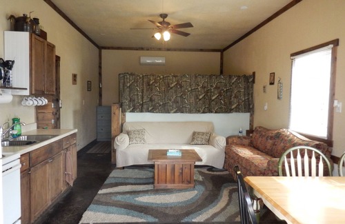 Gamaliel Cabin | Spacious Norfork Lake View Bunkhouse, Resort Amenities, Family/Fishermen/Pets