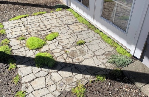 Waller Apartment | Spacious Studio Summit Area