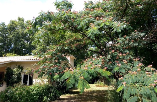 Queyrac House | Spacious villa on large domain with swimmingpool 15 minutes from the beaches