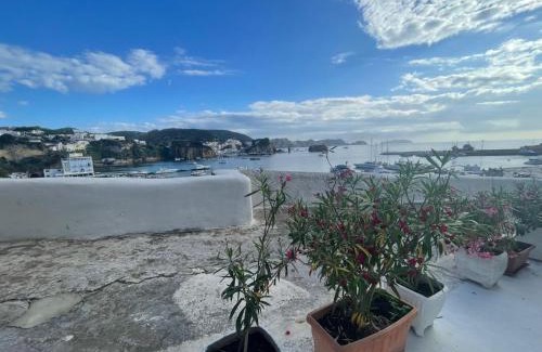 Ponza House | Specchio Marino