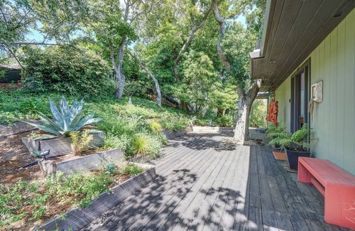 Mill Valley House | Spectacular Views, Privacy, Sunshine, 5 Minutes to Downtown Mill Valley