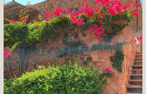 Osani Apartment | Spend exceptional holidays in a protected village , by the sea